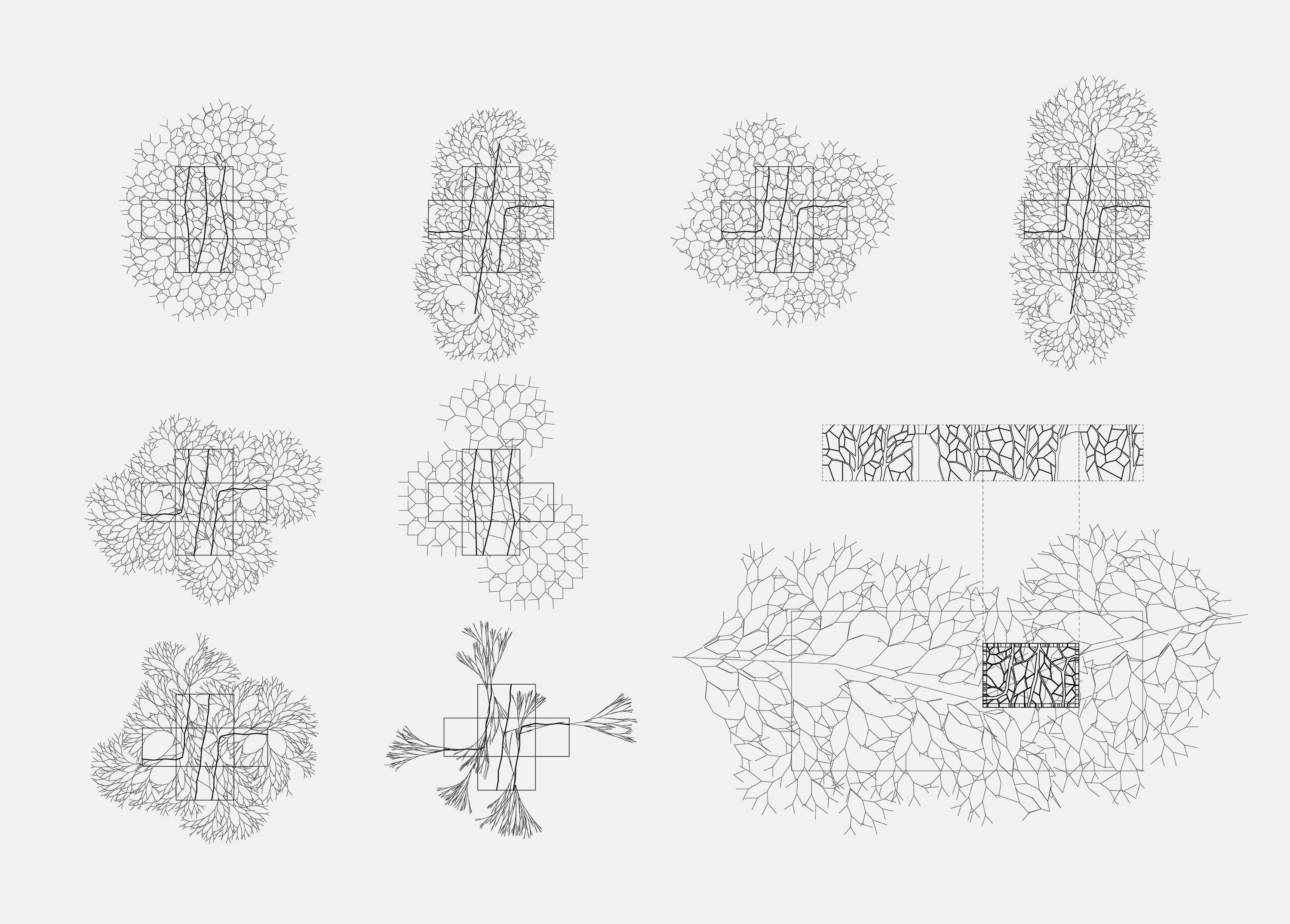 Set of algorithmic drawings for The Times and Kew pavilion, showing successive growth studies in which leaf-like cellular patterns develop around the plan of the structure, with an elevation study at lower right.