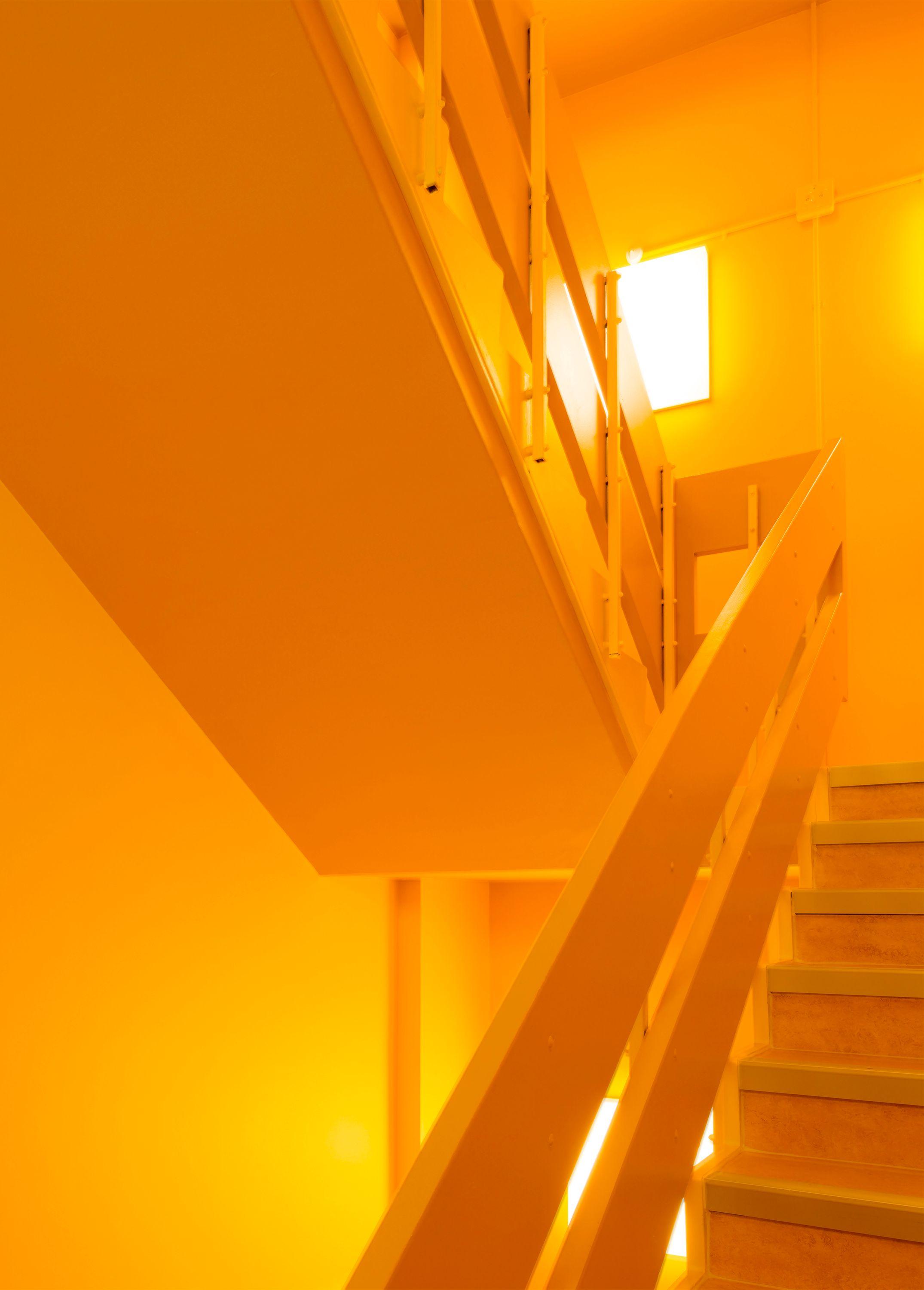 Looking up a brightly coloured stair in Brighton, the yellow surfaces washing the space in warm light as the flight turns towards the floor above.
